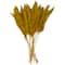 Dried Plant Pampas Natural Foliage with Long Stems